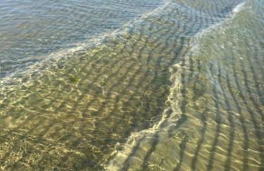 Very central apartment 200 m from the sea - Foto 19