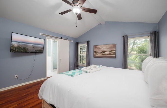 Paradise Palm - Foto 5