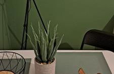 Charmant studio à Castres - Photo 17