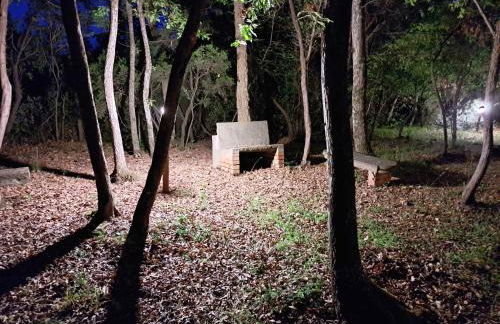 casa con bosco e vista mare - Foto 18