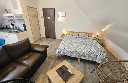 Studios du Cèdre - Foto 20