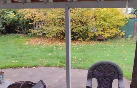 Corvallis OSU 7 peeps - Foto 6