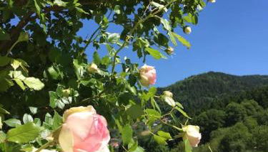 Top ausgestattete Wohnung in Traumlage mit grandioser Aussicht - Foto 4