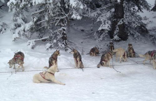 Appartement Chamrousse - Foto 25