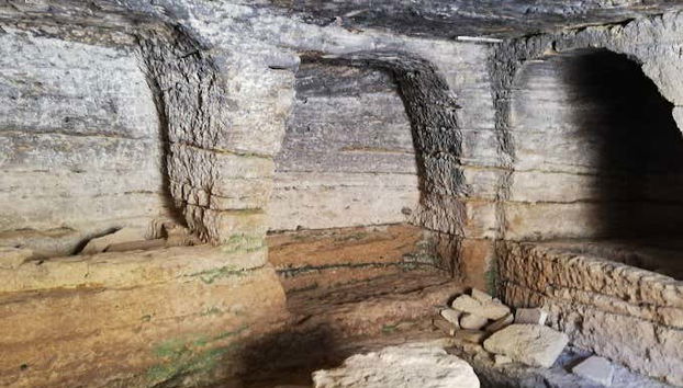 Tour in Osuna - Foto 4