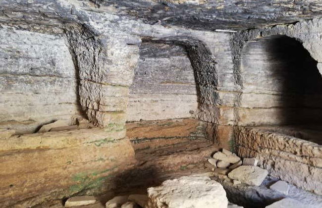 Tour in Osuna - Foto 4