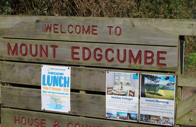 Blue Monkey - Foto 47