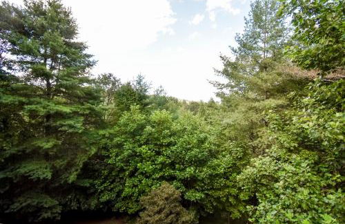 Cherokee Sunrise Cabin - Foto 41