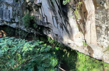 Casa Žerotín - Foto 46