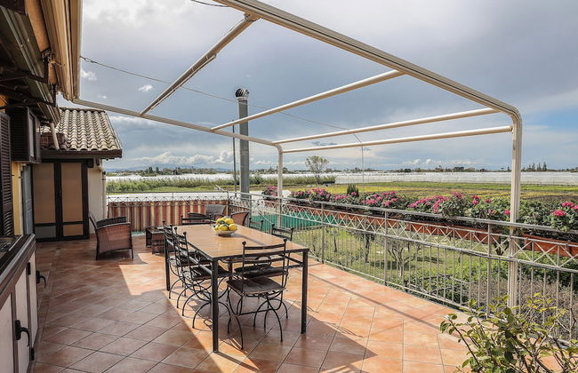 Il Cavalluccio Marino - Photo 15