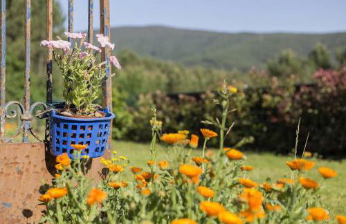 Casa do Porto Carreiro - Foto 39