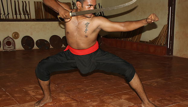 Kalaripayattu traditional martial art performance - private - Foto 3