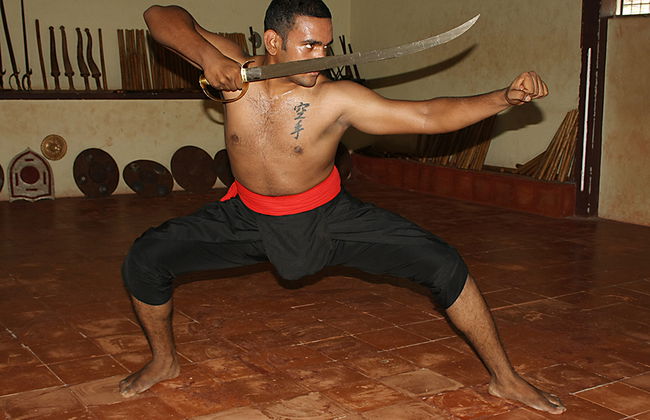 Kalaripayattu traditional martial art performance - private - Foto 3