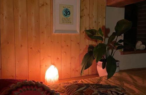 Il nocciòlo di Daisy - Foto 13