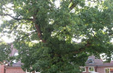 Land & Stil - Foto 40