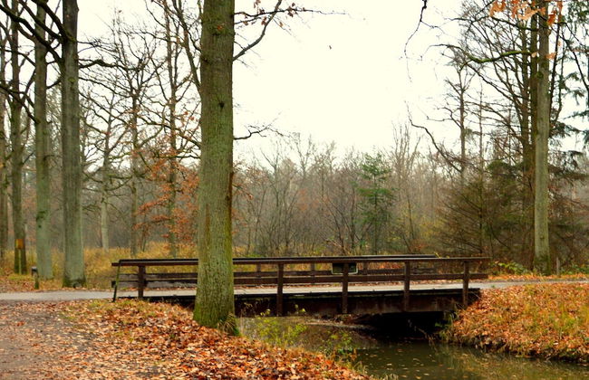 Cosy Holiday Home in Maarheeze With Verandah - Foto 70