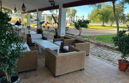 Cortijo la amazona - Foto 25