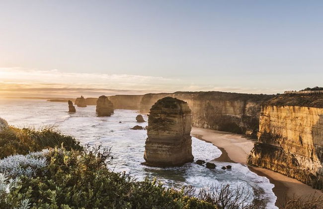 Grande Route Océanique et les Douze Apôtres - Excursion d'une Journée - Photo 8