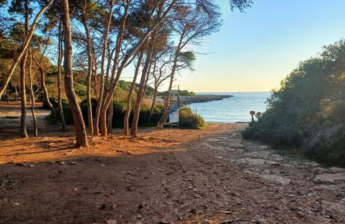 Casa Porto Selvaggio - Foto 52