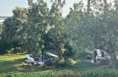 Apartamento Alfarroba - Foto 10