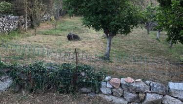 Villa Lucie Paul rez de jardin à Méla - Foto 3, Garden view