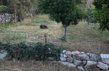 Villa Lucie Paul rez de jardin à Méla - Foto 3