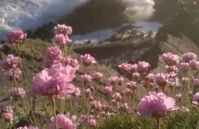 Seadom House - Foto 46