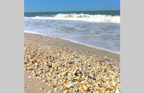 Bonita Oasis - Foto 24