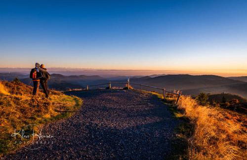 Gästehaus Sonnenheim, Friedenweiler, Titisee - Foto 21