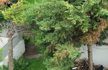 HOUSE SUITES DOMAINE - Foto 17