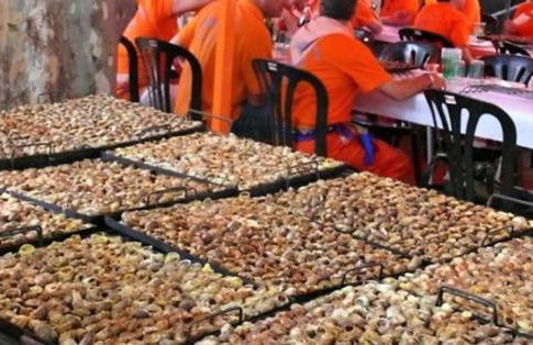 Residencial Lleida - Foto 25