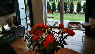 Open'er Festival- Nadmorski Apartament - Foto 3