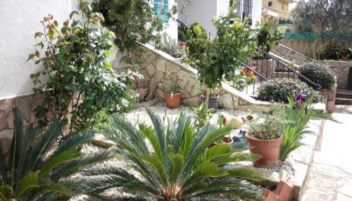 Armonía - Foto 5, Garden