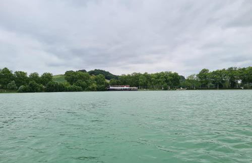 Location Maison Meublée Marciac - Photo 36