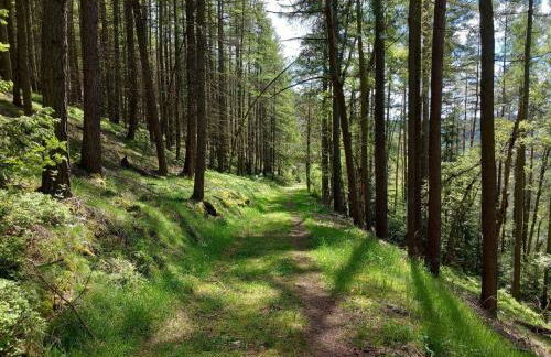 Holiday Home FH Panoramablick by Interhome - Foto 27