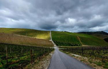 Varandas da Alcácima - Foto 19