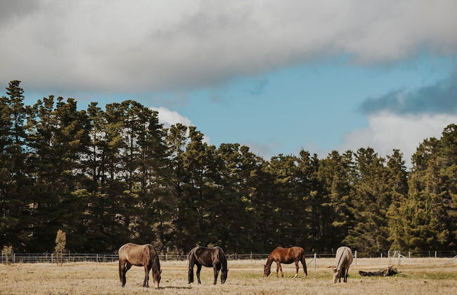 Aruna Estate - Foto 32