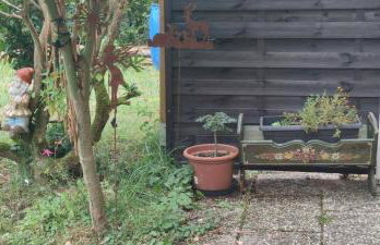 Sonnenhaus Leo Hutthurm - Foto 21