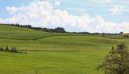 Ferienhof Sauter Meersburg - Foto 4