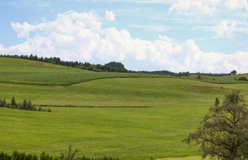 Ferienhof Sauter Meersburg - Foto 4