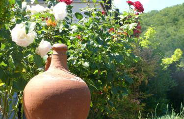 Petrini Gonia - Foto 25