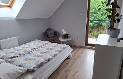 Dom uKromki z kominkiem i widokiem na Śnieżkę - Foto 10