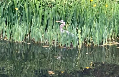 Beautiful Private Lake Lodge with Private Dock and Mountain Views - Foto 40