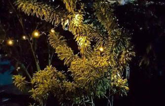 Aconchego III - Foto 14