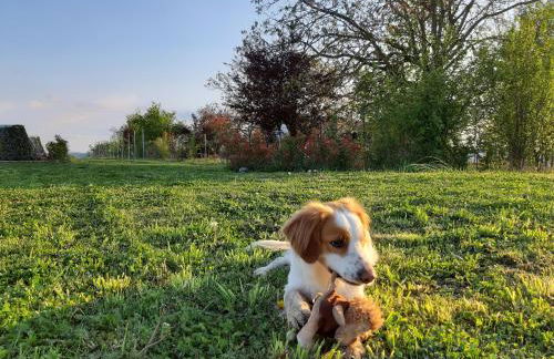 Il Balcone Sul Monferrato - Foto 4