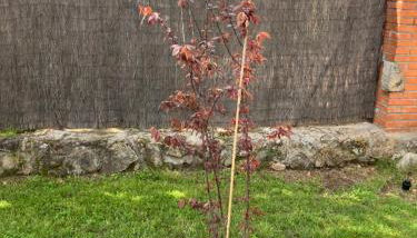 Villa Herrero - Foto 2