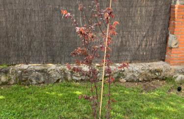 Villa Herrero - Foto 2