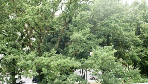 Work and Stay Apartment Balcony - Foto 5