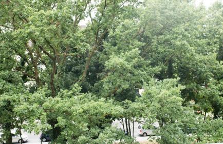 Work and Stay Apartment Balcony - Foto 5