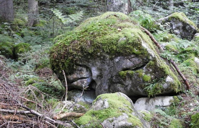 Dog-friendly Chalet in Bregenzerwald - Photo 26